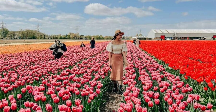 Amsterdam: Tulip Farm Visit, Keukenhof, and Windmill Cruise - Practical tips that make the day smoother