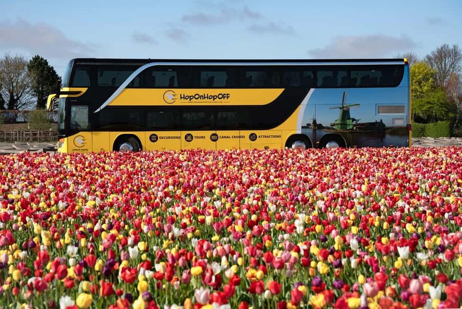 Amsterdam: Tulip Farm Visit, Keukenhof, and Windmill Cruise - Is this tour for you, and is it not?
