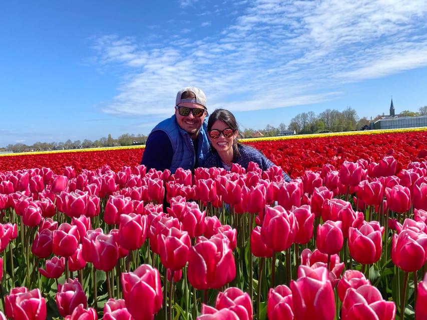 Amsterdam: Tulip Fields Day Tour with Lunch & Windmill - Key points to help you decide