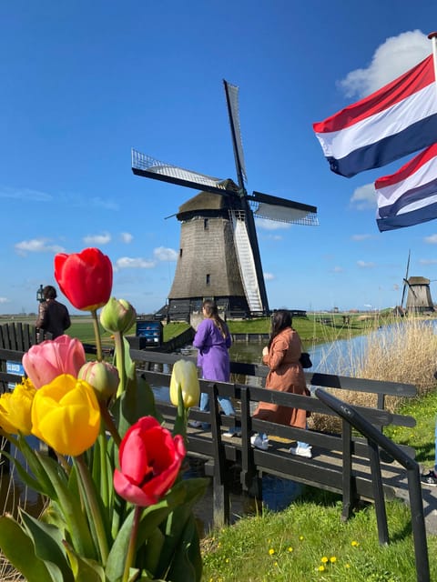 Amsterdam: Tulip Fields Day Tour with Lunch & Windmill - Tulip Fields North of Amsterdam, With Real Farming Stories