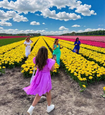 Tulip Fields Day Tour with Lunch & Windmill