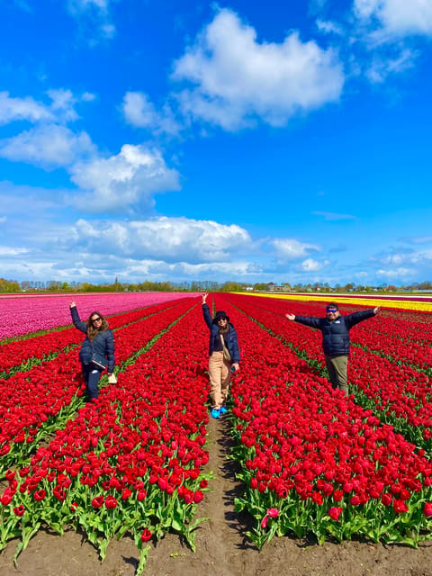 Amsterdam: Tulip Fields Day Tour with Lunch & Windmill - Walking Through 3 Tulip Fields, Not Just Staring at Rows