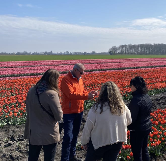 Amsterdam: Tulip Fields Day Tour with Lunch & Windmill - Comfort, Group Size, and Value at $143 Per Person