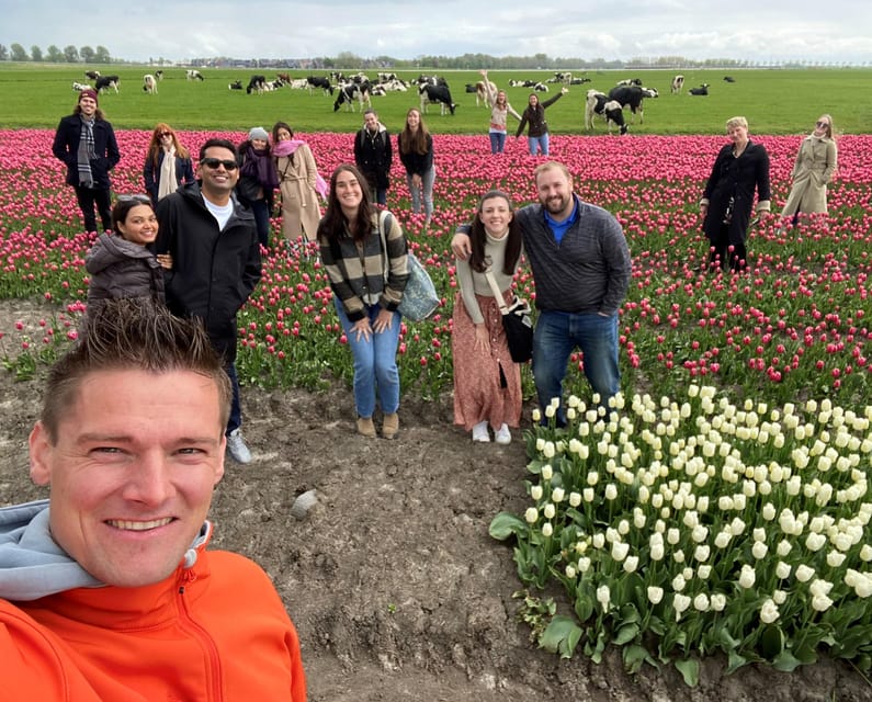 Amsterdam: Tulip Fields Day Tour with Lunch & Windmill - Who This Tour Is Best For (and Who Should Skip It)