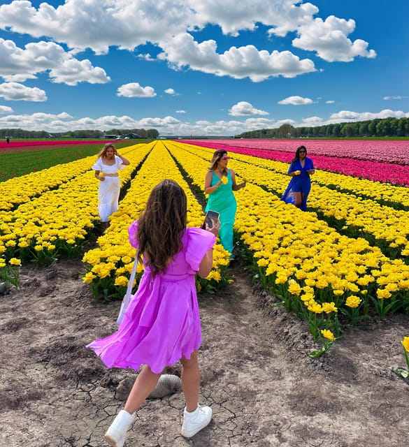 Amsterdam: Tulip Fields Day Tour with Lunch & Windmill - Meeting at Market 27 (Metro Noord) and Getting Out of Amsterdam Fast