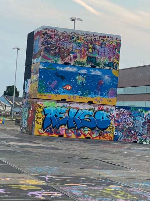 Amsterdam: Urban Bike Tour, Graffiti Art & Magnet Fishing - NDSM graffiti workshop: create art instead of just watching it