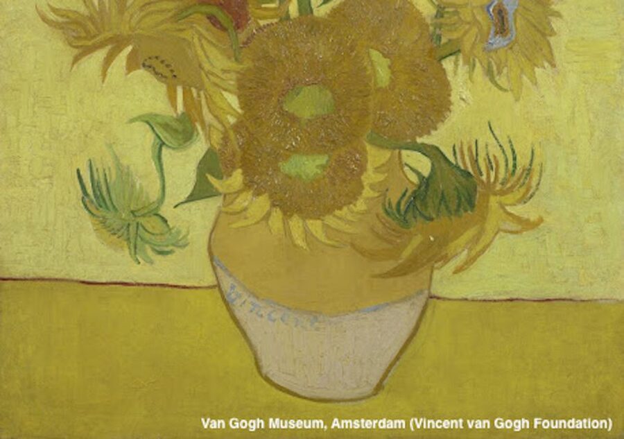 Amsterdam: Van Gogh Museum Guided Tour with Entry - Your 2-hour rhythm inside: structured stops plus time to look