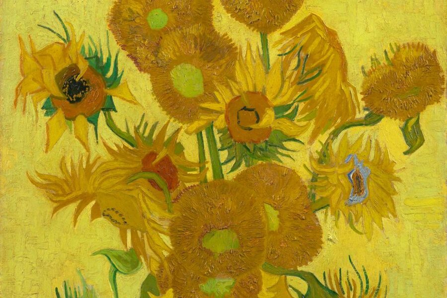 Amsterdam: Van Gogh Museum Ticket - Price and Value: Is $32 a Good Deal?
