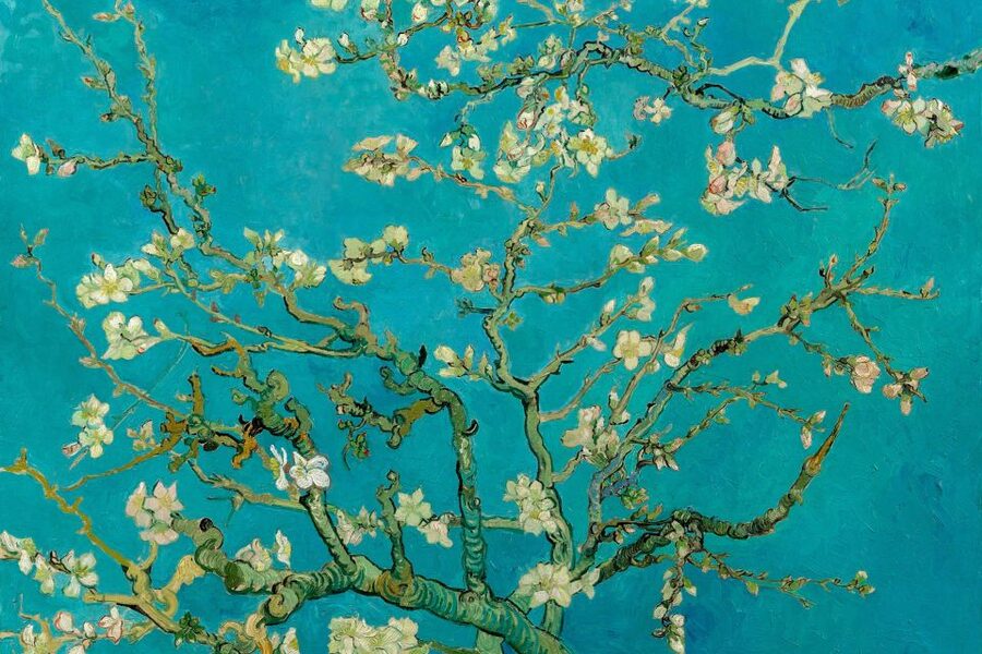 Amsterdam: Van Gogh Museum Ticket and City Canal Cruise - What the Museum Experience Feels Like (and What You Actually See)