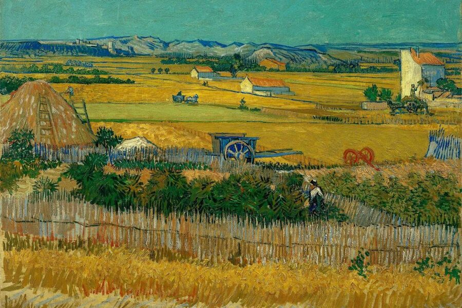 Amsterdam: Van Gogh Museum Ticket & Canal Cruise - What to prioritize inside the Van Gogh Museum when you skip the multimedia guide