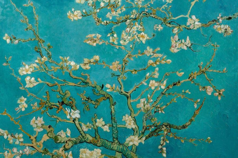Amsterdam: Van Gogh Museum Ticket & Canal Cruise - Price and value: does $47 make sense for this day in Amsterdam?