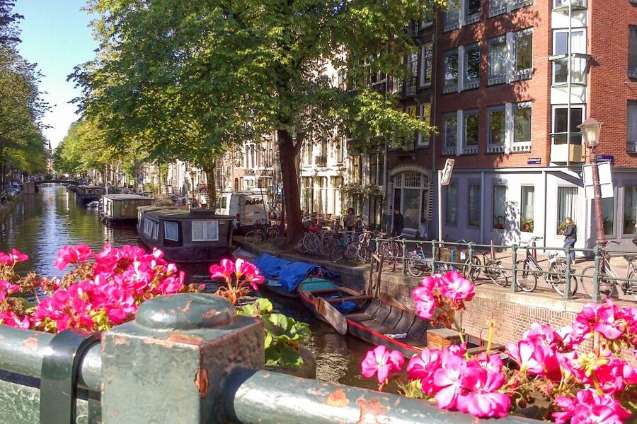 Amsterdam Walking Tour and Canal Cruise - Jordaan Stroll: Where Amsterdam Feels Like a Neighborhood