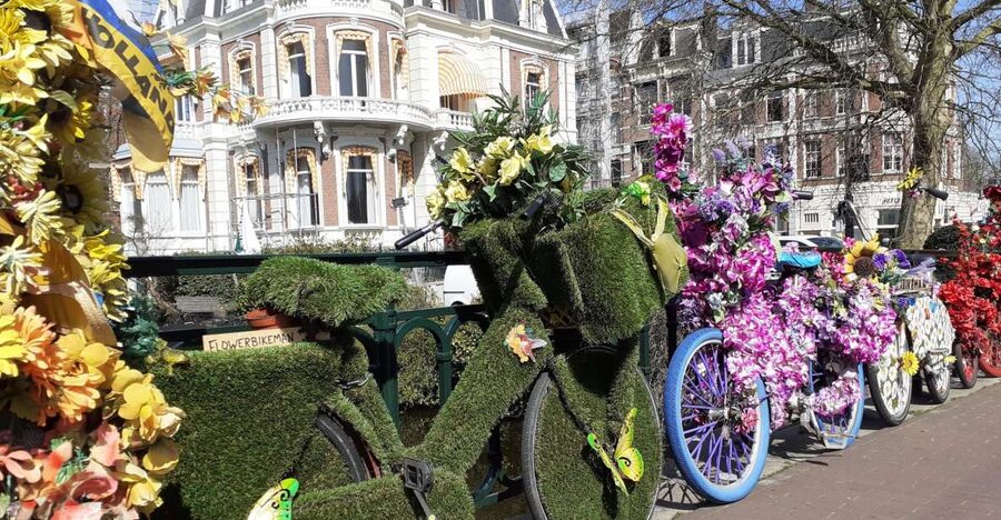 Amsterdam Walking Tour and Canal Cruise - A Local Street Market Stop for Shopping That Feels Real