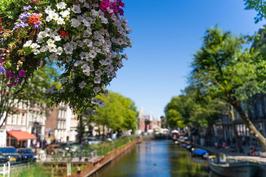 Amsterdam Walking Tour with Cheese Tasting - Small group size: why it changes the vibe