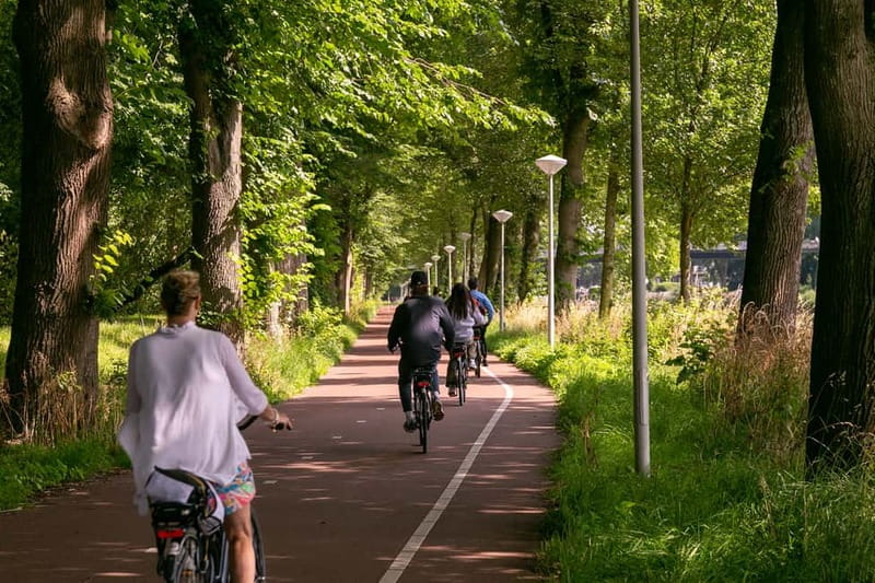 Amsterdam: Windmill, Cheese, and Countryside E-Bike Tour - Trading Amsterdam crowds for a north-side ferry start