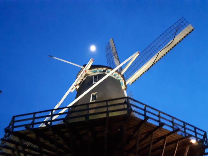 Amsterdam: Windmill Guided Tour - Who should book this windmill tour?