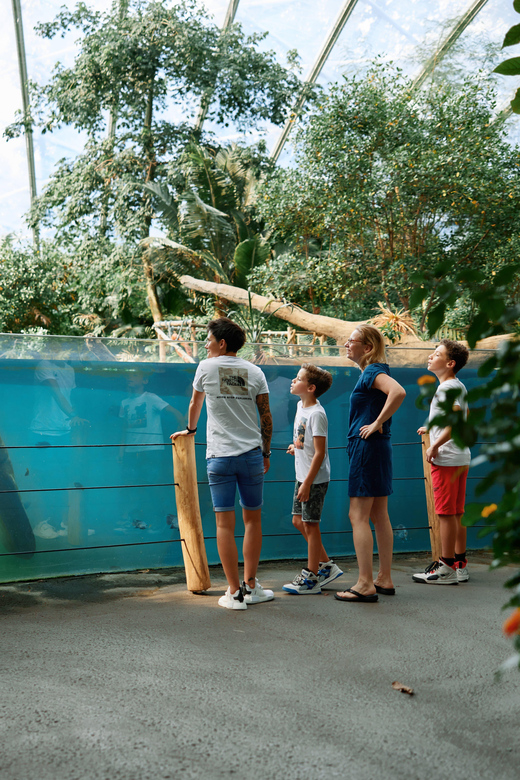 Arnhem: Burgers' Zoo Entry Ticket - Why Burgers Zoo eco-displays feel different from a typical zoo