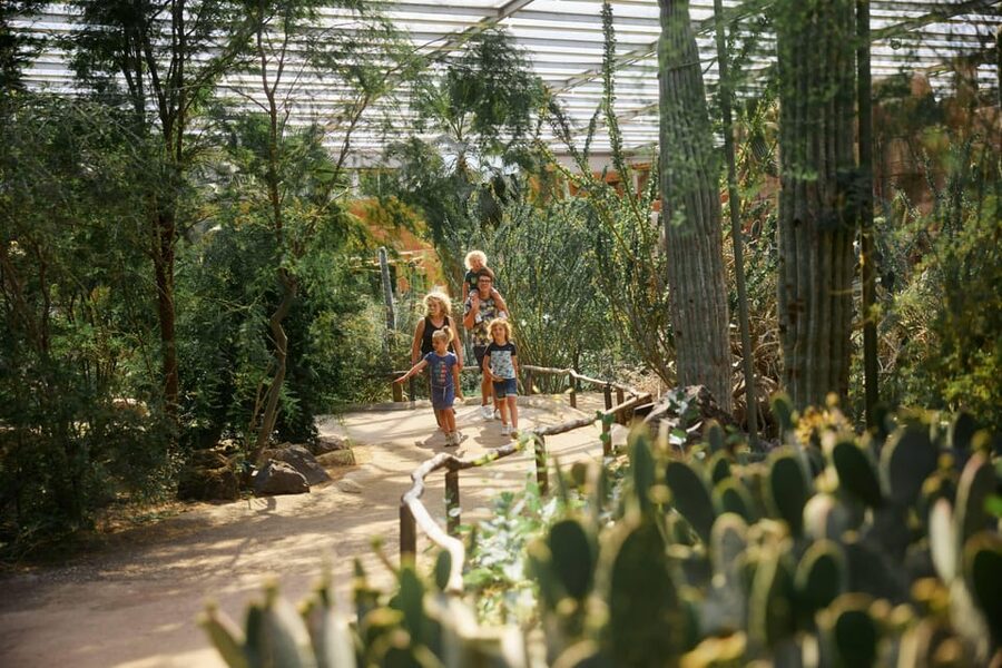 Arnhem: Burgers' Zoo Entry Ticket - Price and value: what $33 gets you at Burgers Zoo