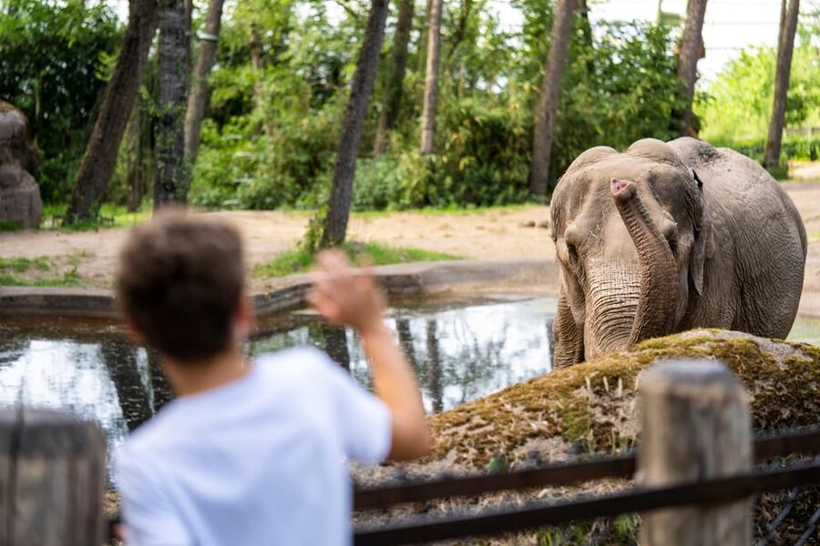 Arnhem: Burgers' Zoo Entry Ticket - Key highlights you should not miss at Burgers Zoo