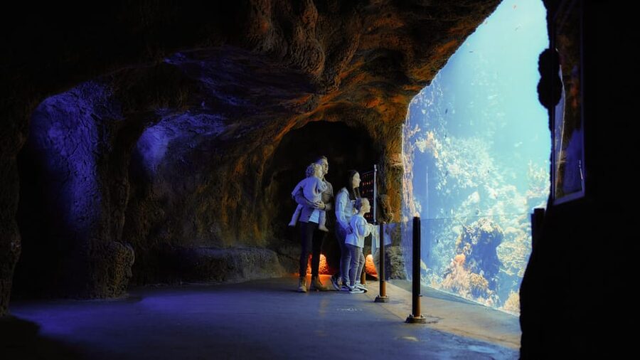 Arnhem: Burgers' Zoo Entry Ticket - Aquariums and botanical dome vibes, plus cleanliness and friendly staff