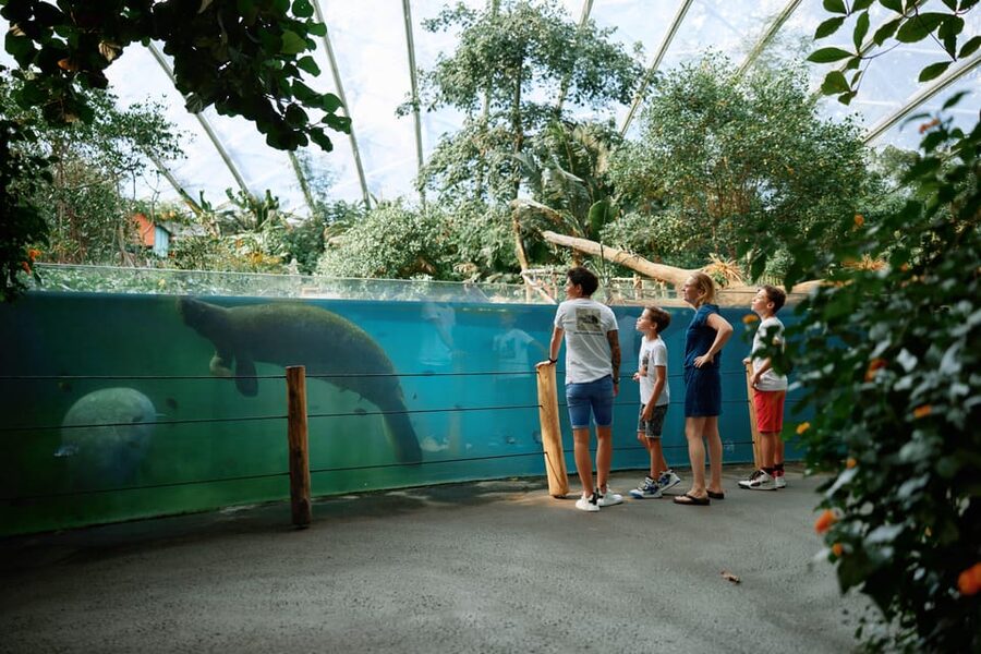 Arnhem: Burgers' Zoo Entry Ticket - A realistic plan for an 8-hour visit without feeling rushed