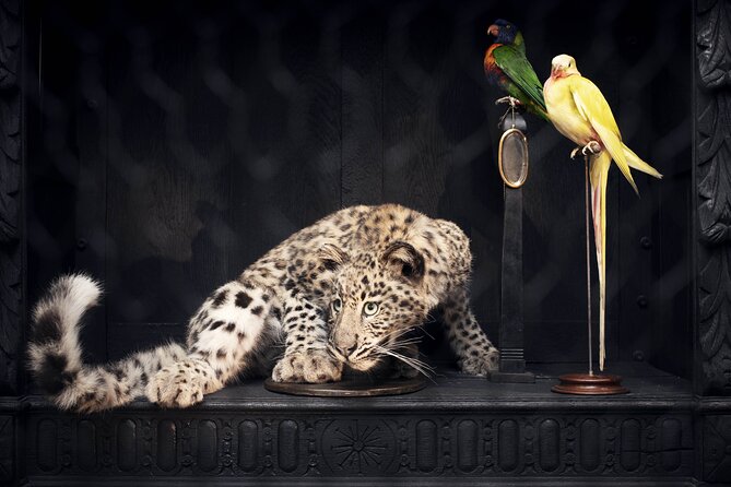 Art Zoo Museum Amsterdam Tickets - How the self-guided audio tour changes the whole experience
