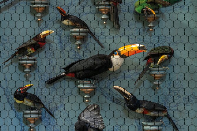 Art Zoo Museum Amsterdam Tickets - Stop by stop: what to expect as you walk through