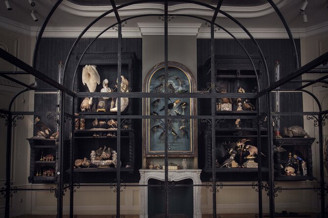 Art Zoo Museum Amsterdam Tickets - The garden and Italian bar coffee: a calmer finish