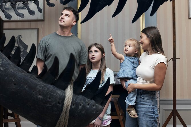 Art Zoo Museum Amsterdam Tickets - Is it worth the $21.12 price for 90 minutes?