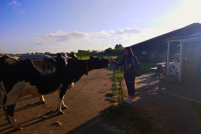 Best of Dutch Countryside: Giethoorn, Windmills, Secret Villages - Catharina Hoeve cheese farm: 25-plus tastes and real buy time