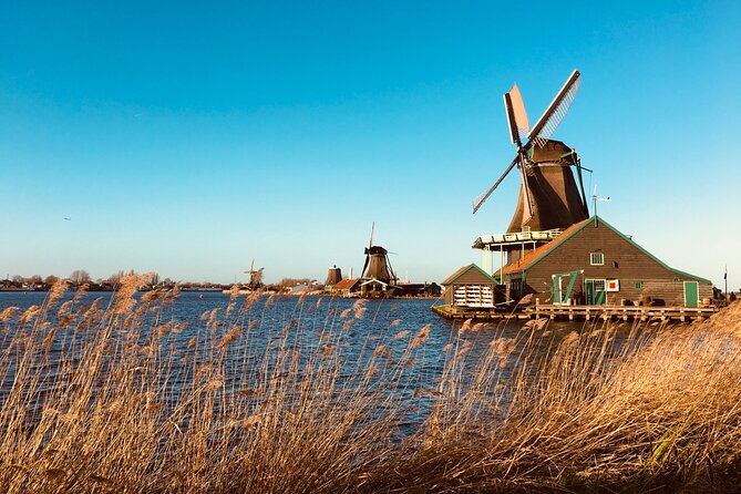 Best of Dutch Countryside: Giethoorn, Windmills, Secret Villages - Almere farm stop: fresh milk tasting and cow-photo time