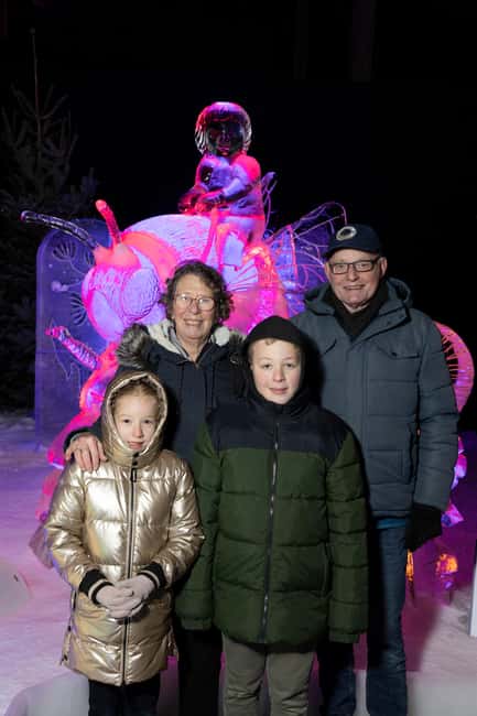 Biddinghuizen: Dutch Ice Sculpture Festival Entry Ticket - Key highlights you should know before you go