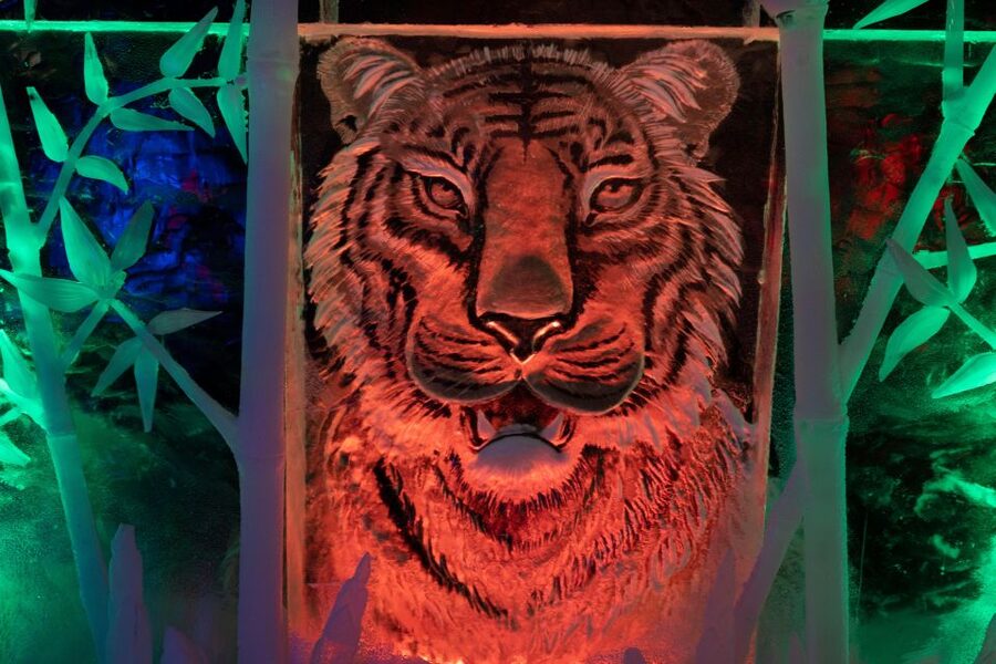 Biddinghuizen: Dutch Ice Sculpture Festival Entry Ticket - Street art meets winter ice