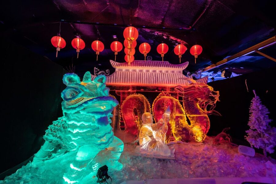 Biddinghuizen: Dutch Ice Sculpture Festival Entry Ticket - Accessibility and comfort for different visitors