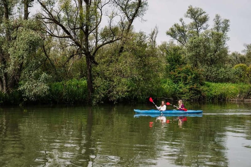 Biesbosch: Kayak Rental with Route Map and Life Jacket - Key things to know before you paddle the Biesbosch