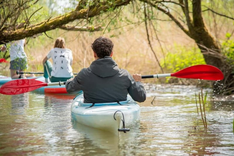 Biesbosch: Kayak Rental with Route Map and Life Jacket - Your 1.5-hour route game plan: follow the suggested line or go freestyle