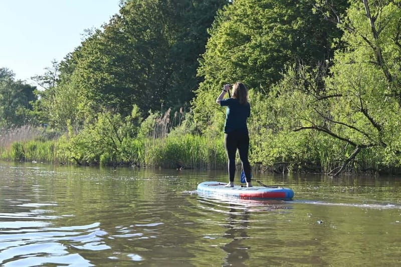Biesbosch: SUP Board Rental - Key highlights worth planning for