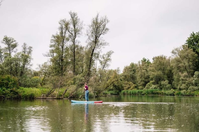 Biesbosch: SUP Board Rental - Getting set up at Hostel Stayokay, then choosing your own pace