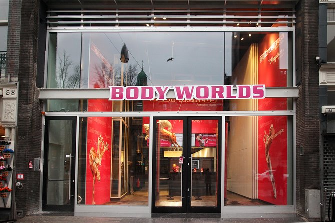 Body Worlds Amsterdam Admission Ticket - Price and value: is $27.21 worth it?