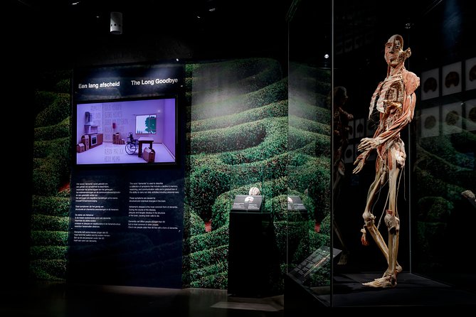 Body Worlds Amsterdam Admission Ticket - Who should book Body Worlds Amsterdam?