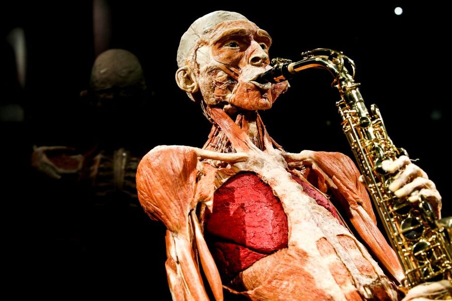 Body Worlds Amsterdam: The Happiness Project Ticket - Key things I’d focus on