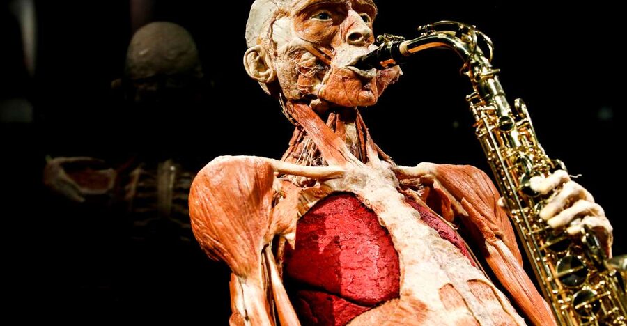 Body Worlds Amsterdam: The Happiness Project Ticket - The included InBody Scan, your report is part of the experience