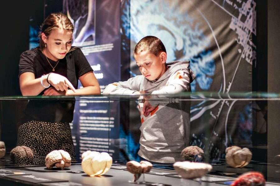 Body Worlds Amsterdam: The Happiness Project Ticket - Reading and language, you can keep moving in English or Dutch