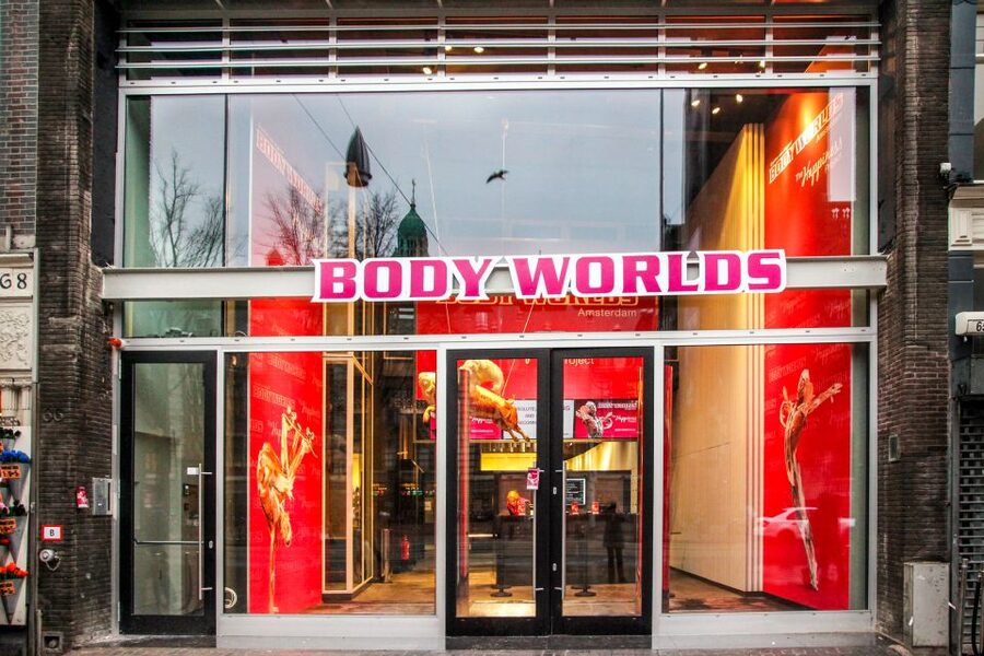 Body Worlds Amsterdam: The Happiness Project Ticket - Getting there on Damrak, and how the timed entry really works