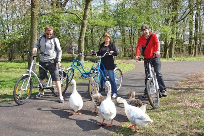 Cheese, Canals & Windmill Countryside E-Bike Tour Amsterdam - The Nieuwendammerdijk stretch: the longest scenic thread