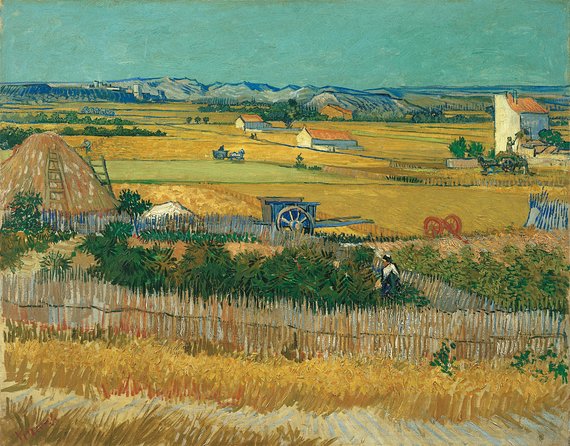 Combo Ticket: Van Gogh Museum Ticket and 1-Hour Canal Cruise - How the Day Flows: A Realistic Time Plan for Museum to Boat