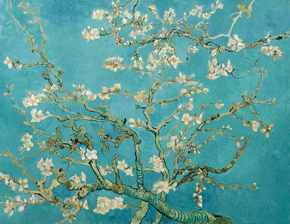 Combo Ticket: Van Gogh Museum Ticket and 1-Hour Canal Cruise - Canal Cruise Included: GPS Audio Guide in 19 Languages