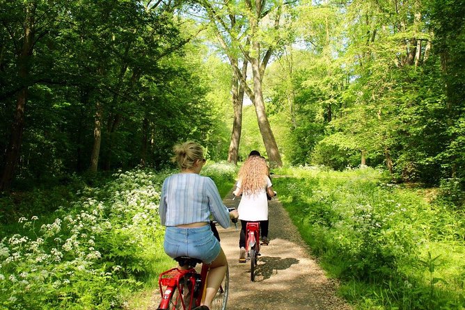 Countryside Fishermen Villages & Cheese E-bike Tour - Who this Amsterdam e-bike countryside tour suits best