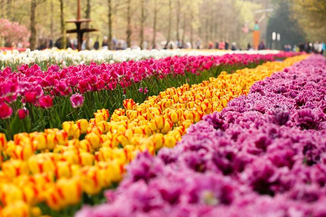 Day Trip to Keukenhof Gardens from Amsterdam with Tour Guide - Bus logistics tip: avoid the Bowl Aloha confusion