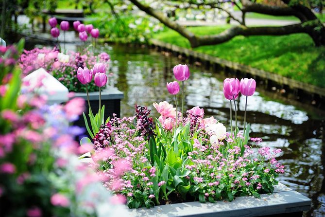 Day Trip to Keukenhof Gardens from Amsterdam with Tour Guide - Who this day trip suits best